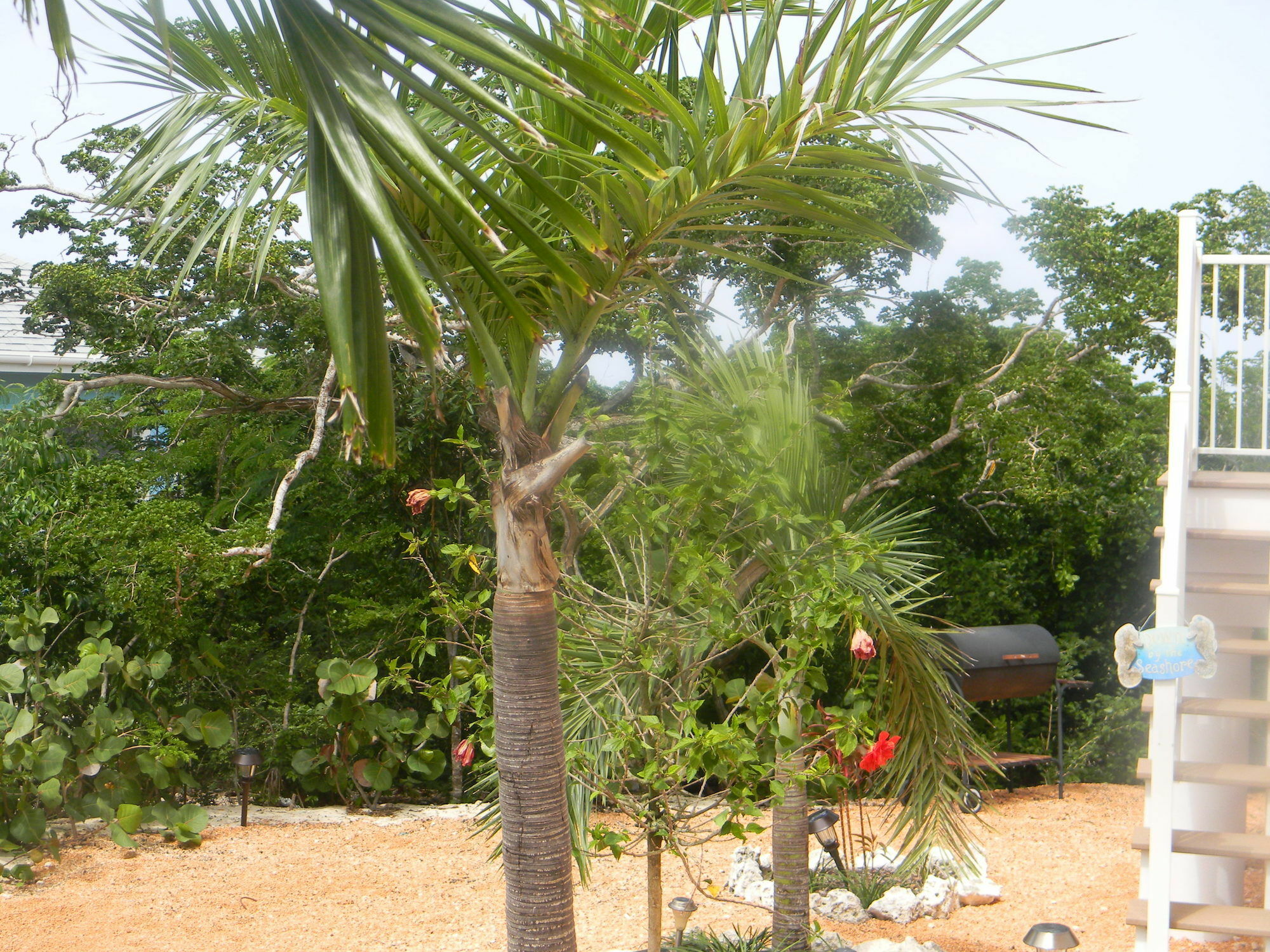 Harbor Breeze Villas Clarence Town Exterior foto