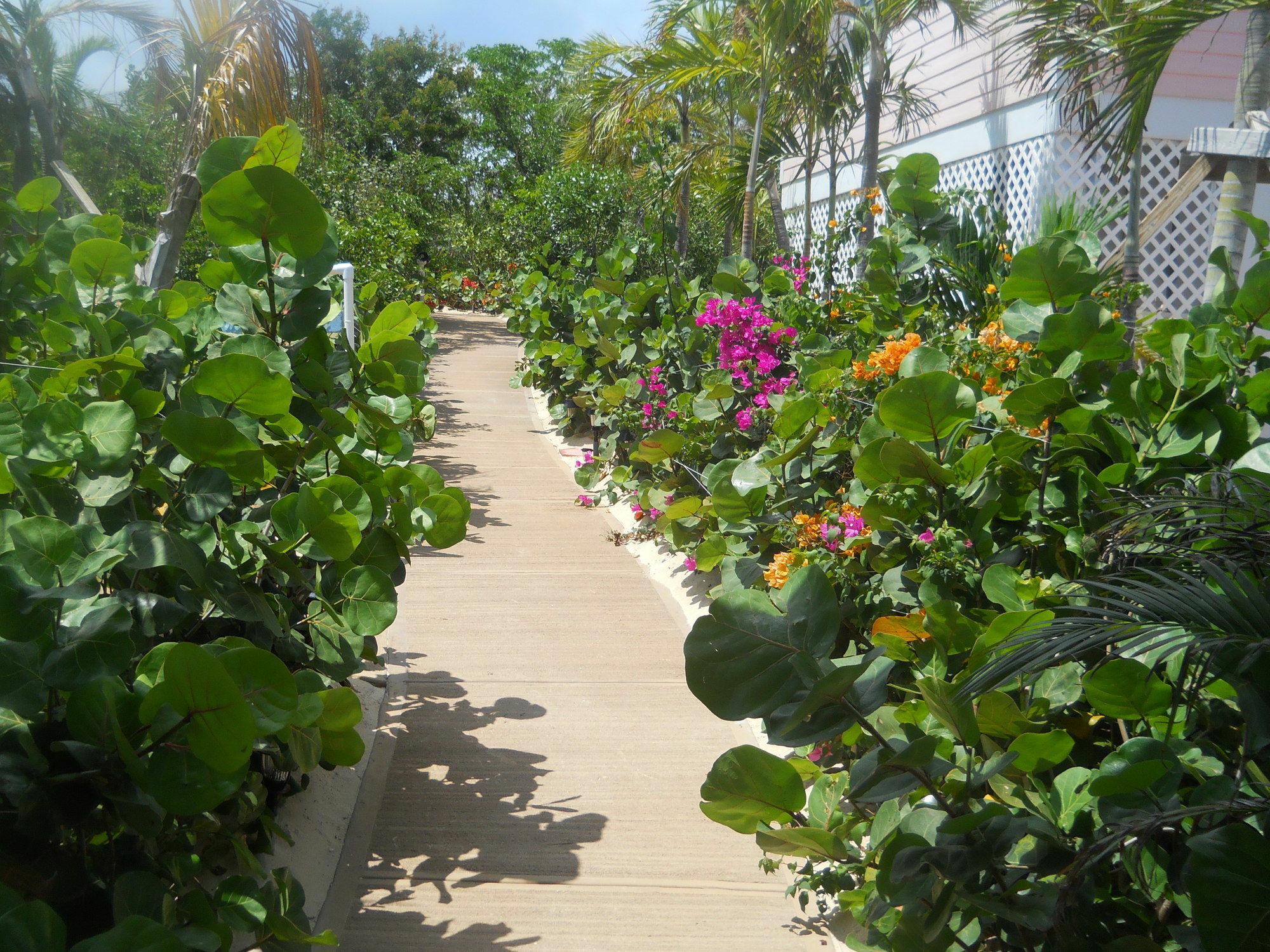 Harbor Breeze Villas Clarence Town Exterior foto